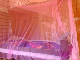 Mosquito nets